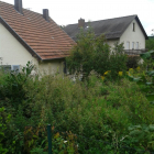 IMG-20150219-WA0003.jpg