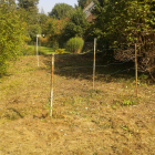 IMG-20150219-WA0004.jpg