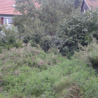 IMG-20150219-WA0005.jpg