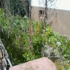 IMG-20150219-WA0007.jpg